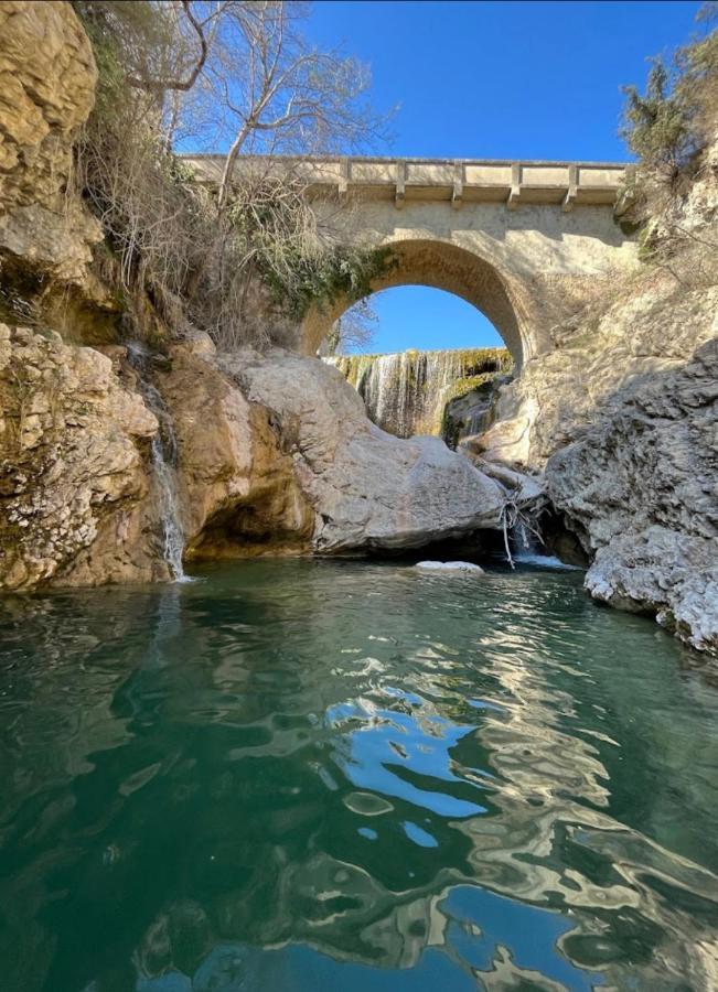 Sous Les Etoiles En Provence, Gite Les Bambous Lurs ภายนอก รูปภาพ